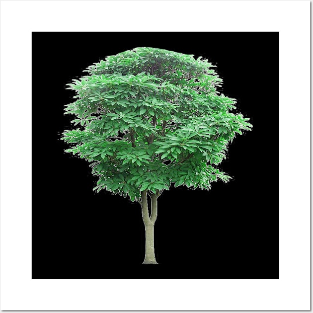 Green leafed tree, Tree Lindens Wall Art by MADISON NICHOLAS